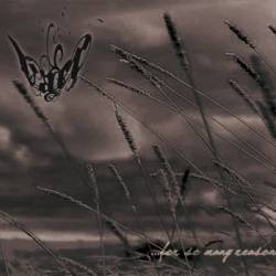 ...For So Many Reasons